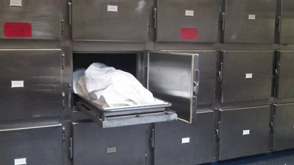 محافظ المنيا ينقل رئيس قرية تلة إلى طوخ الخيل