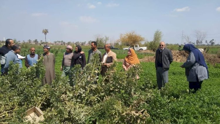 الزراعة : تستعرض الانشطة الارشادية لمعهد امراض النباتات