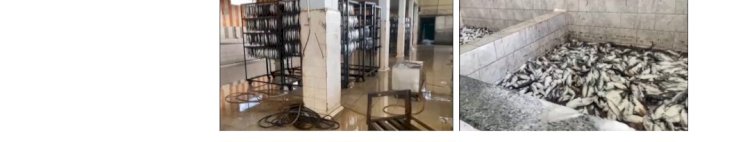 ضبط "١٨٦"طن مواد غذائية غير صالحة للاستهلاك الادمي بالغربية