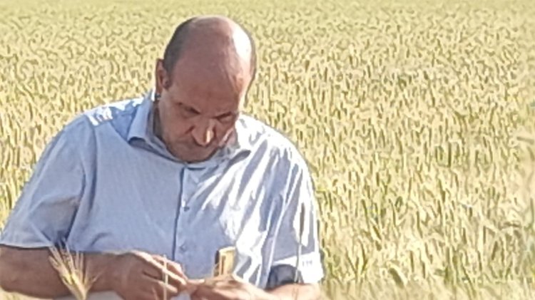 المركزية لفحص واعتماد التقاوي تتابع المحاصيل خلال اجازة العيد