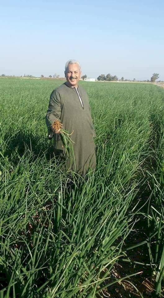 نقيب الفلاحين يوجه رسالة للإعلامي أحمد موسي: "كيلو البصل بـ5 جنيهات"