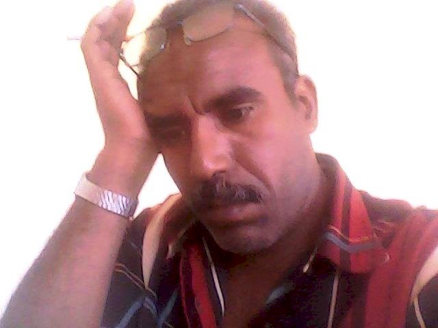 ولاء حربي المجتهدة المتميزة  بقلم أسامة القوصي