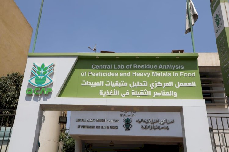 د.هند عبداللاه خدمة النداء الالي تساهم في التيسير علي العملاء وانجاز الخدمات