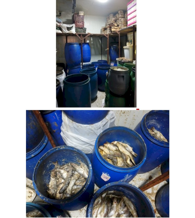 ضبط "٥٧٥٠"طن رنجة وفسيخ وملوحة مجهولة المصدر بالقاهرة