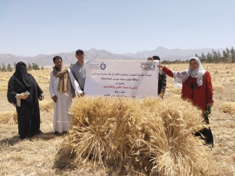 البحوث الزراعية و الصحراءيتابعان نتائج المشروعات البحثية المشتركة بسيناء