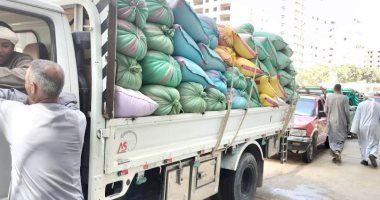 توريد 22 ألف طن من محصول القمح بالشون والصوامع الحكومية بمراكز المنيا