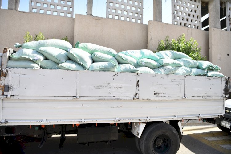 شون وصوامع المنيا تستقبل 48 طناً من محصول القمح لموسم حصاد 2024