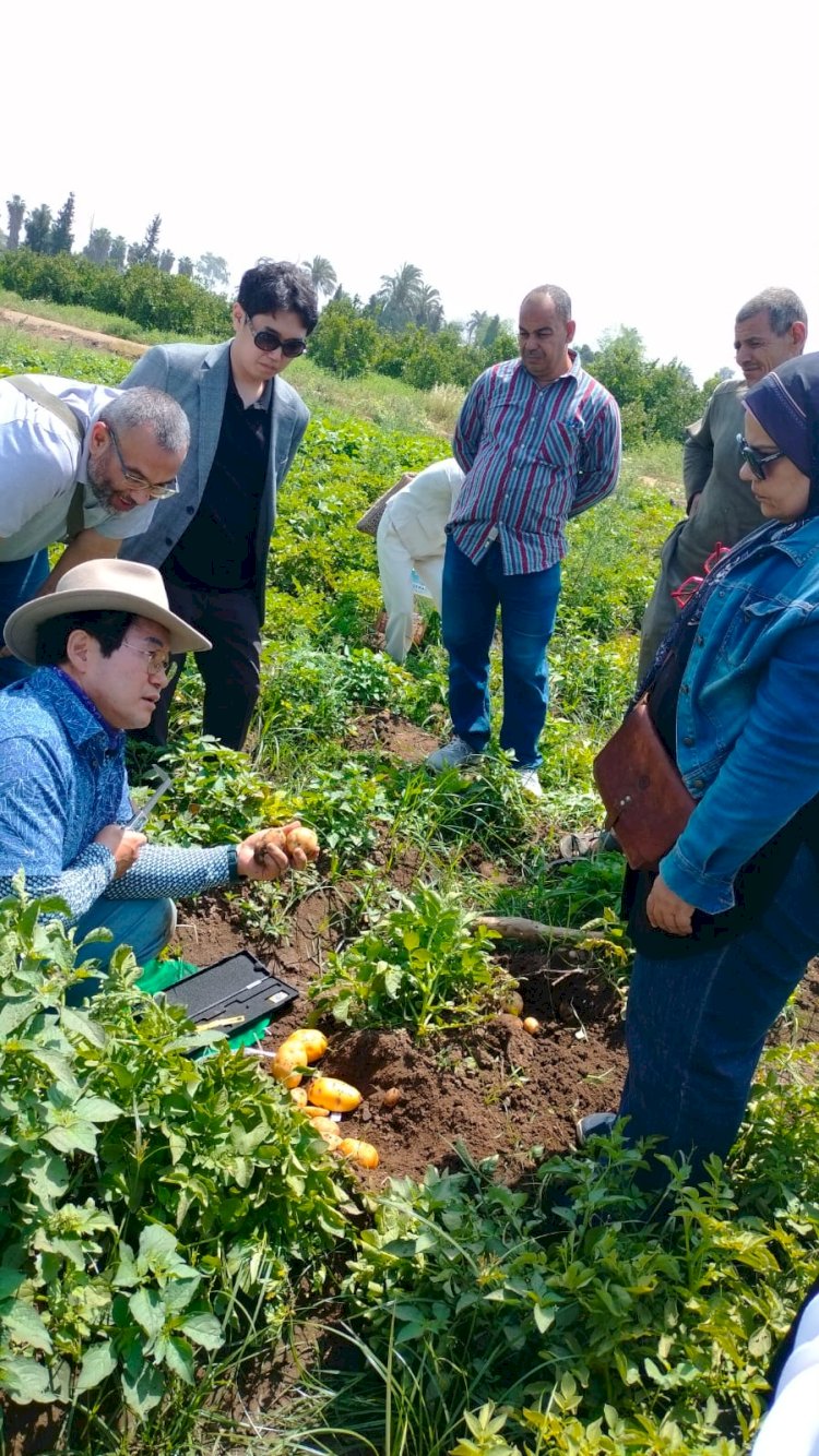 الزراعة تتابع انتاج تقاوي الخضر وتتعاون مع الجامعات والقطاع الخاص الكوري