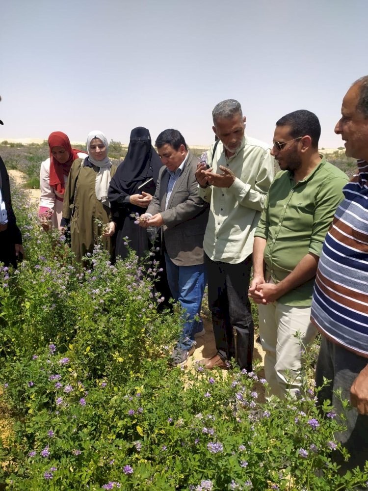 "٨٩٠" باحث وخبير ومرشد زراعي يقدمون الدعم للمزارعين في "٢٣"محافظة