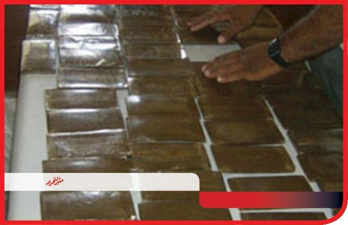 سقوط "١٤" تاجر مخدرات  في قبضة الشرطة ببورسعيد