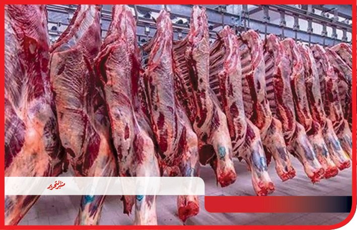 إيمان بدر تكتب :روشتة علمية لحل أزمات اللحوم والدواجن قبل حلول عيد الأضحى
