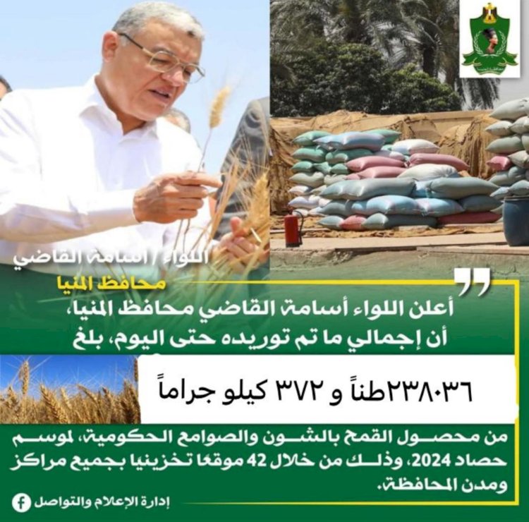 محافظ المنيا: شون وصوامع المحافظة تواصل استقبال القمح وتوريد 238 ألف طن منذ بدء الموسم