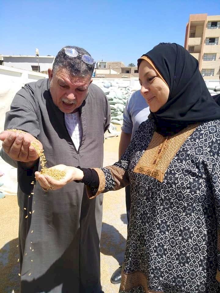 الفقي يتابع توريد محصول القمح بسوهاج