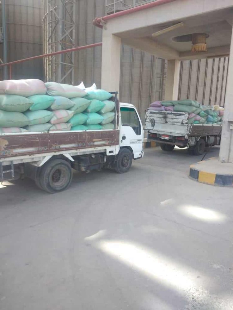 محافظ المنيا: شون وصوامع المحافظة تواصل استقبال القمح وتوريد 277 ألف طن منذ بدء الموسم