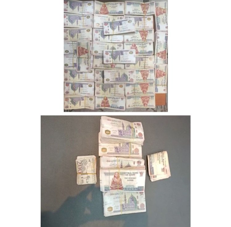 ضبط مهربي العملات الاجنبية والمحلية بميناء القاهرة الجوي