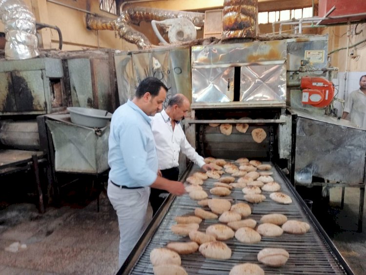 تحرير 124 محضر مخالف خلال حملات تموينية ورقابية بمراكز المنيا