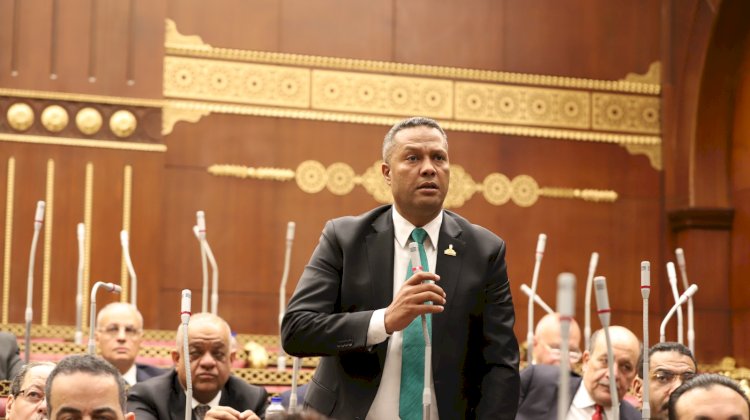 حمزة بعد فوزه بمقعد الشيوخ: "الإسكندرية دائمًا في المقدمة.. وشعبها لا يتراجع"