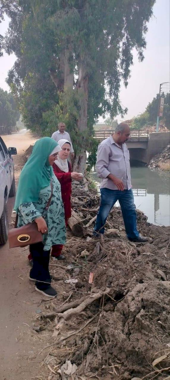 مكافحة الافات تكافح القوارض وتوفر مبيدات النمل الابيض مجانا