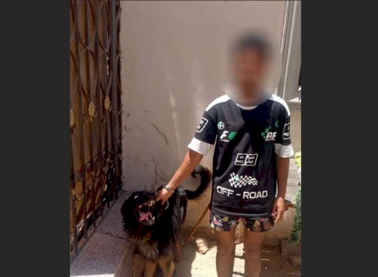 ضبط مشاجرة "الكلاب"بالقاهرة