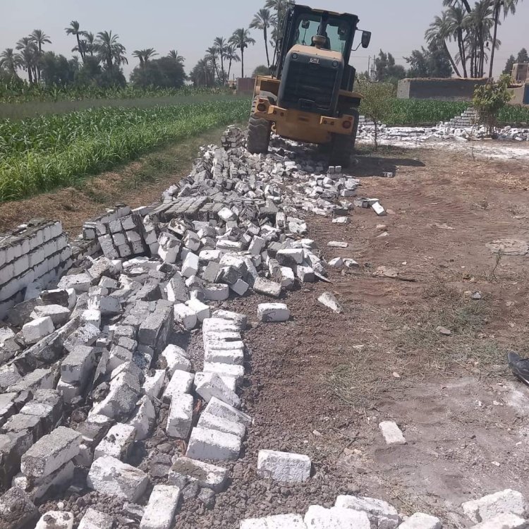 استمرار الإزالة الفورية بقرية دندره في قنا