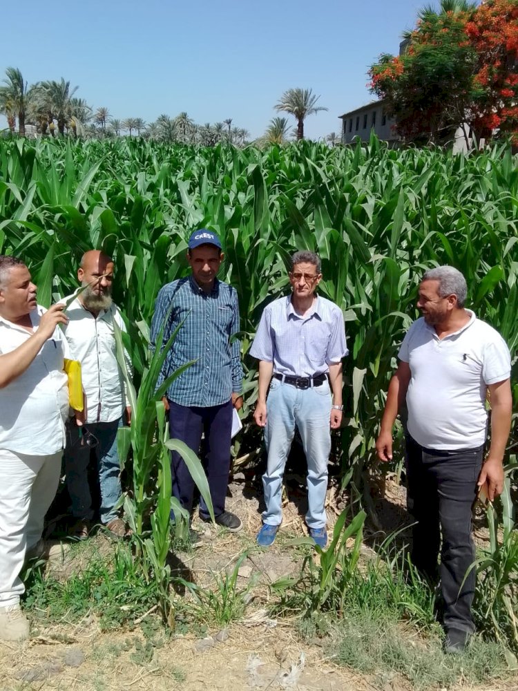 تقديم الدعم الفني والارشادي للمزارعين