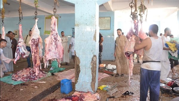 تموين المنيا يضبط 171 مخالفة متنوعة خلال حملات رقابية على المخابز البلدية والأسواق