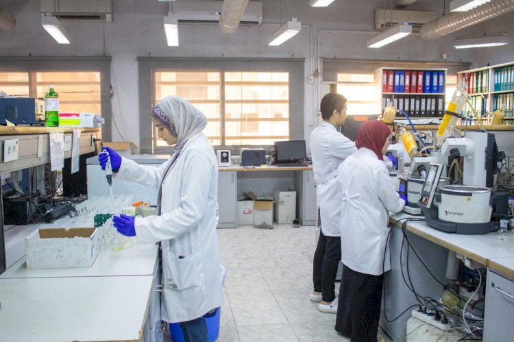 متبقيات المبيدات يصدر اكثر من "١٥٠٠"عينة منتجات غذائية وشهادة يوم وقفة عيد الاضحي