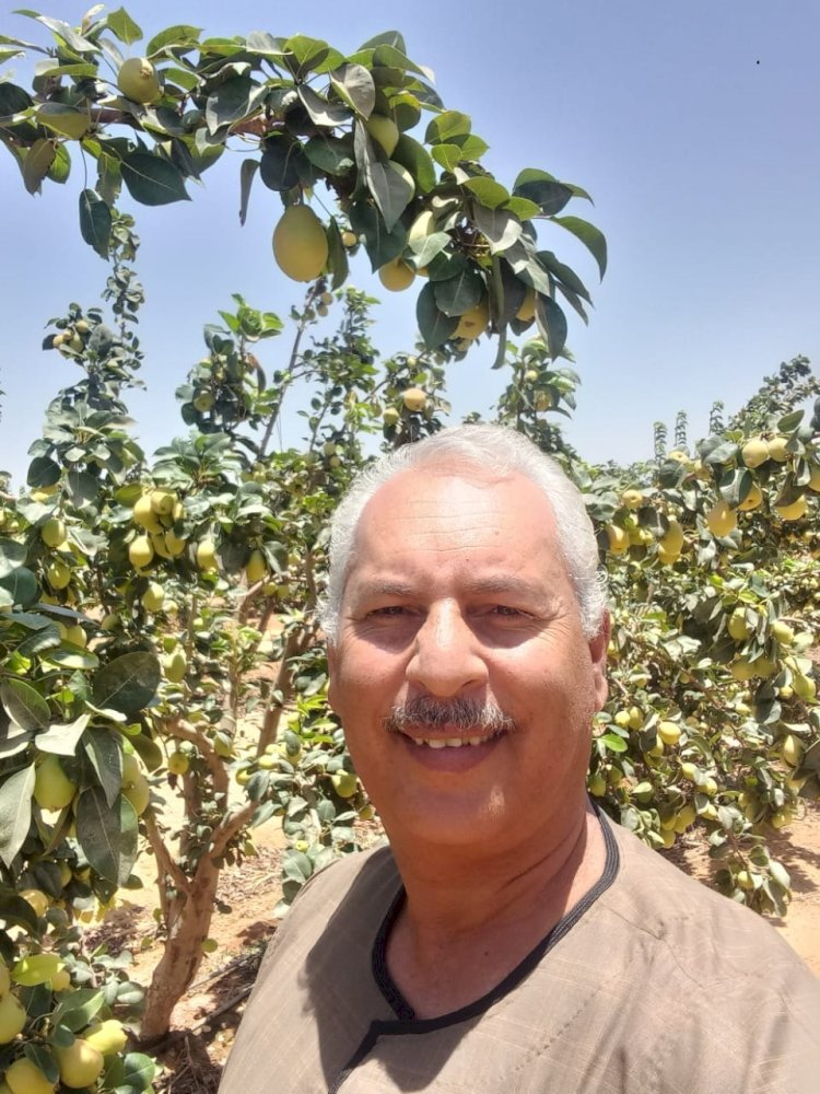 نقيب الفلاحين يناشد الرئيس السيسي التدخل لحل أزمة الأسمدة 