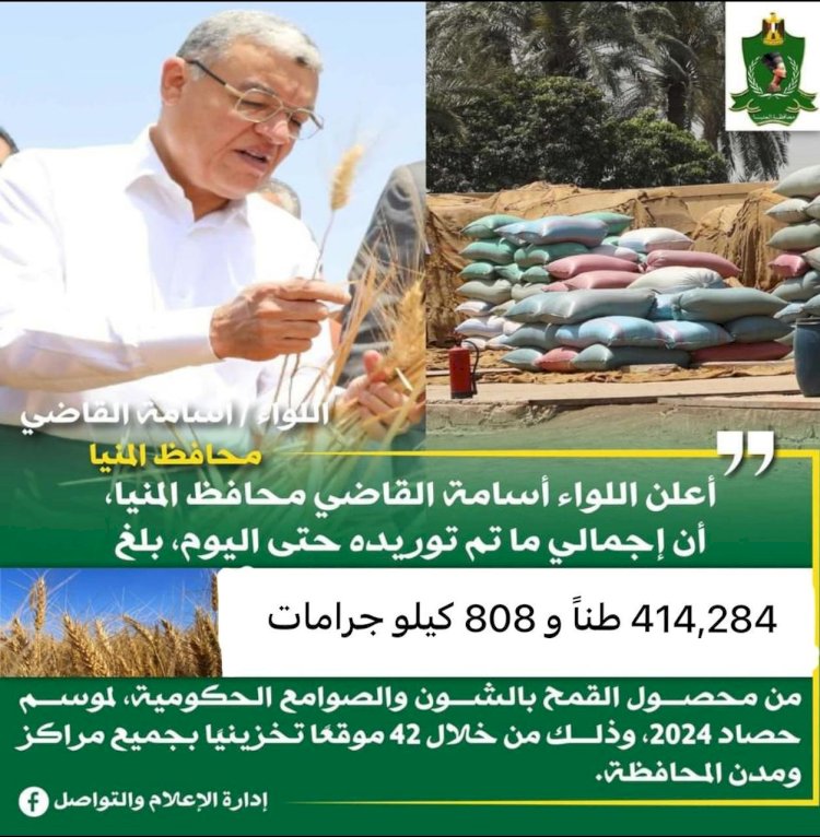 محافظ المنيا: شون وصوامع المحافظة تواصل استقبال القمح وتوريد 414 ألف طن منذ بدء الموسم