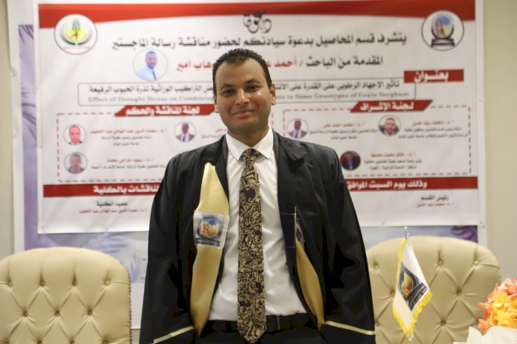 رسالة ماجستير تناقش تأثير الاجهاد الرطوبى على قوة الهجين فى الذرة الرفيعة