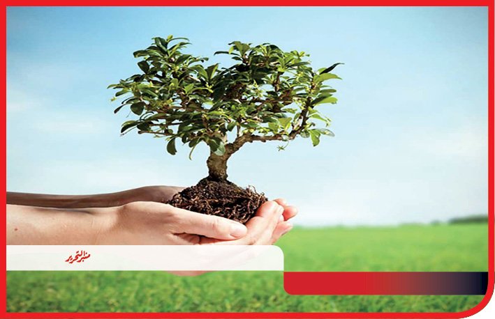 حملات مكثفة لتمهيد الطرق والارتقاء بمنظومة النظافة بشوارع مراكز المنيا