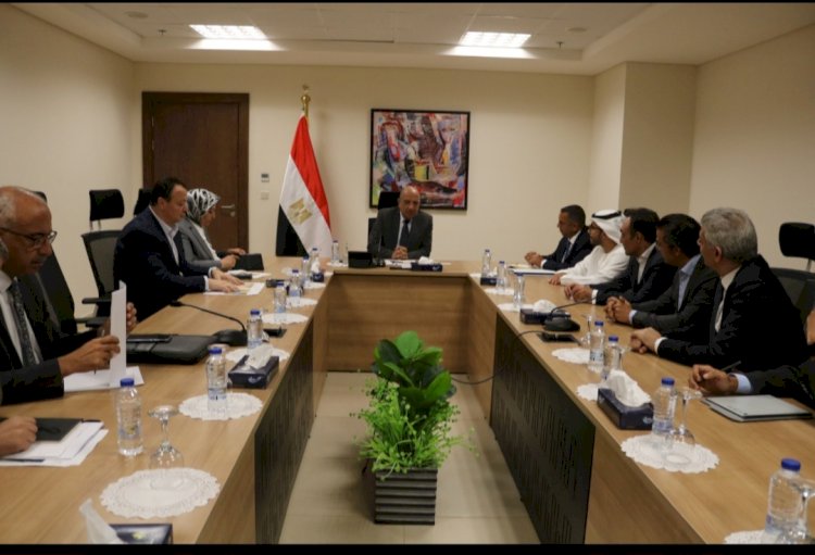 "عصمت "يبحث مع تحالف "حسن علام" تنفيذ مشروعات في الطاقة ببنبان وخليج السويس