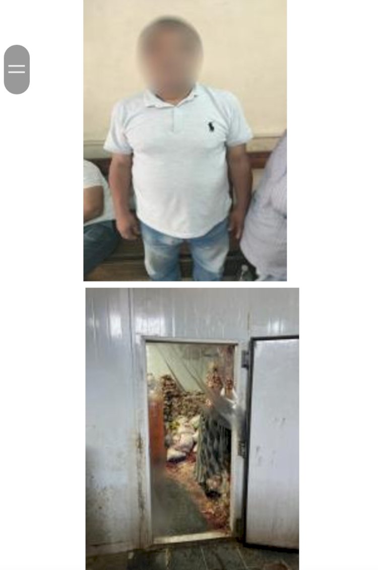 ضبط هياكل دواجن ومخللات مجهولة المصدر بالقاهرة