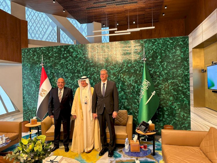 تعاون مصري سعودي في مجالات البترول والكهرباء