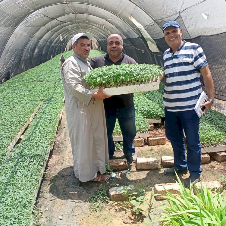 متابعات مستمرة لمشاتل الخضر والصوب الزراعية بالمحافظات