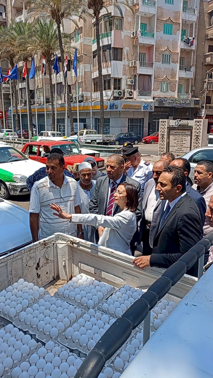 الزراعة طرح بيض المائدة باسعار مناسبة للمواطنين في ٧ محافظات