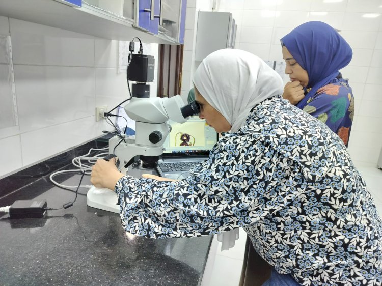 الزراعة:التصنيف الصحيح لنوع الأفة خطوة أساسية في استراتيجيات المكافحة