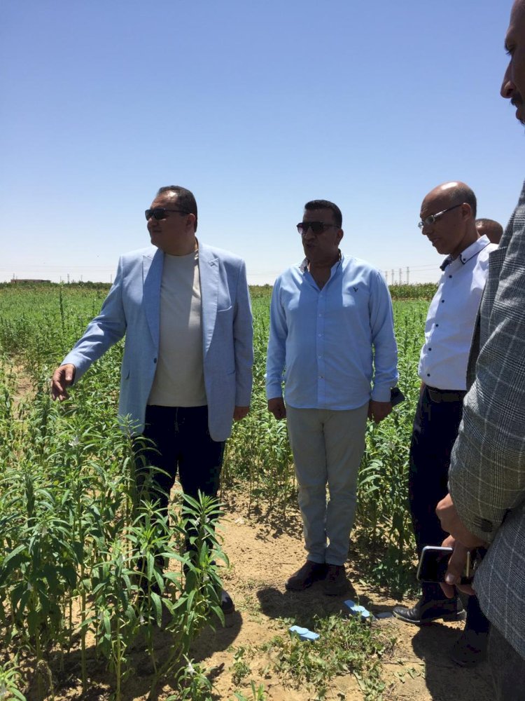 الزراعة تتفقد المشروعات الزراعية بسيناء وشرق القناة