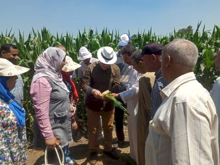 الزراعة الفرق الارشاددية مع الفلاحين اينما وجدوا لتديم الدعم لهم
