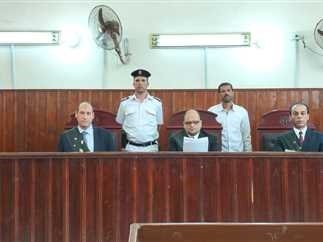 «أسقطت حبلى»..السجن المشدد 10 سنوات لـ«ربة منزل» في المنيا