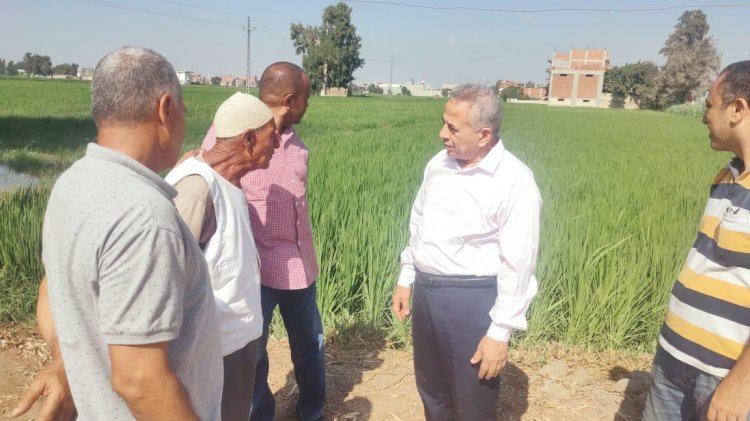 الزراعة تتابع الزراعات الصيفية ومظومتي كارت الفلاح وحوكمة الاسمدة بالبحيرة