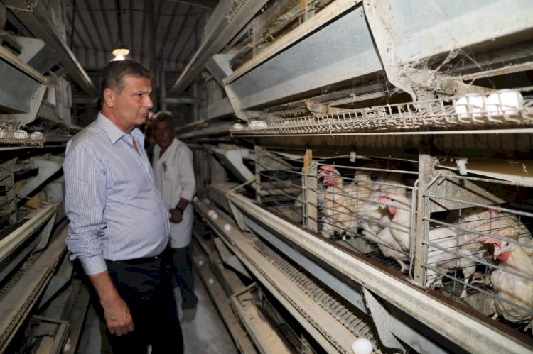 وزيرالزراعة يشيد بالعاملين بمزرعة الاصلاح الزراعي لانتاج البيض بايتاي البارود