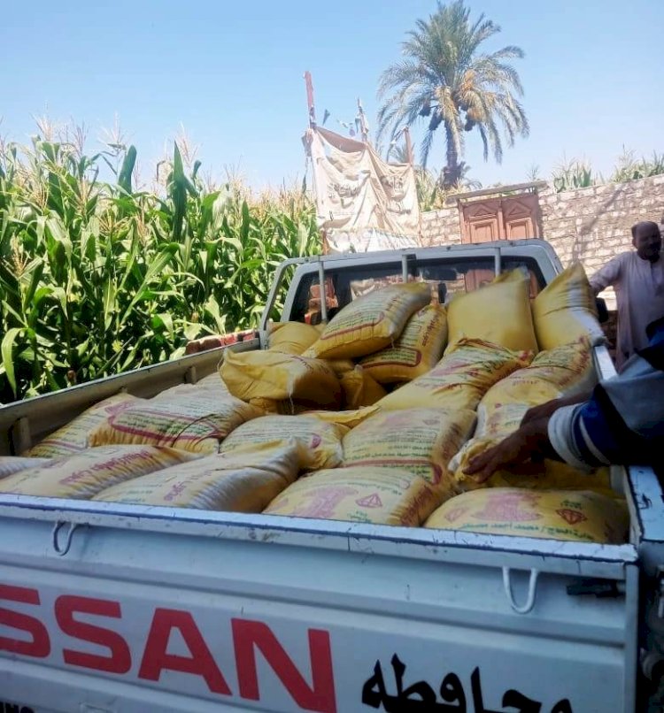 تحرير ٣٤٦٢ محضر تموين متنوع خلال شهر بسوهاج