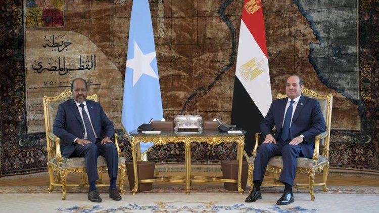 رئيس الصومال يشيد بدعم مصر المتواصل لبلاده في لقائه مع الرئيس السيسي