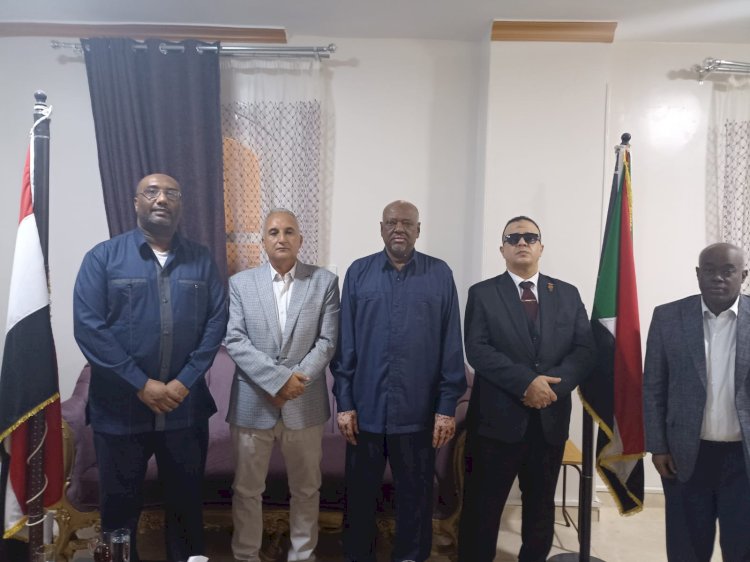 حزب تحيا مصر والقنصلية السودانية بأسوان يبحثان إقامة مهرجانات شكرا يامصر