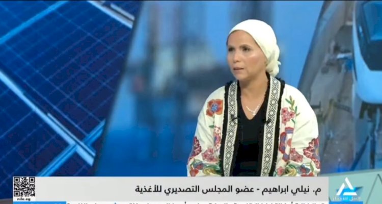 نيللي شاكر تؤكد على أهمية دعم الدولة للمنتج الصناعي للمنافسة في اسواق التصدير