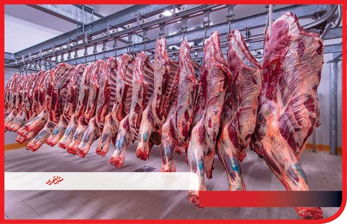 إيمان بدر تكتب :خطة الحكومة لضبط الأسعار خلال الفترة القادمة