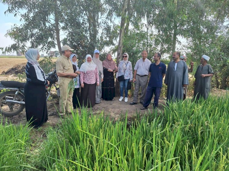 الزراعة: حصاد مبادرة المراكز الارشادية الزراعية خلال اغسطس الماضي