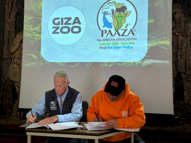 التوأمة بن حديقتي الحيوان بالجيزة وجوهانسبرج لتبادل البنوك البيولوجية والحيوانات والابتكارات  والرعاية البيطرية