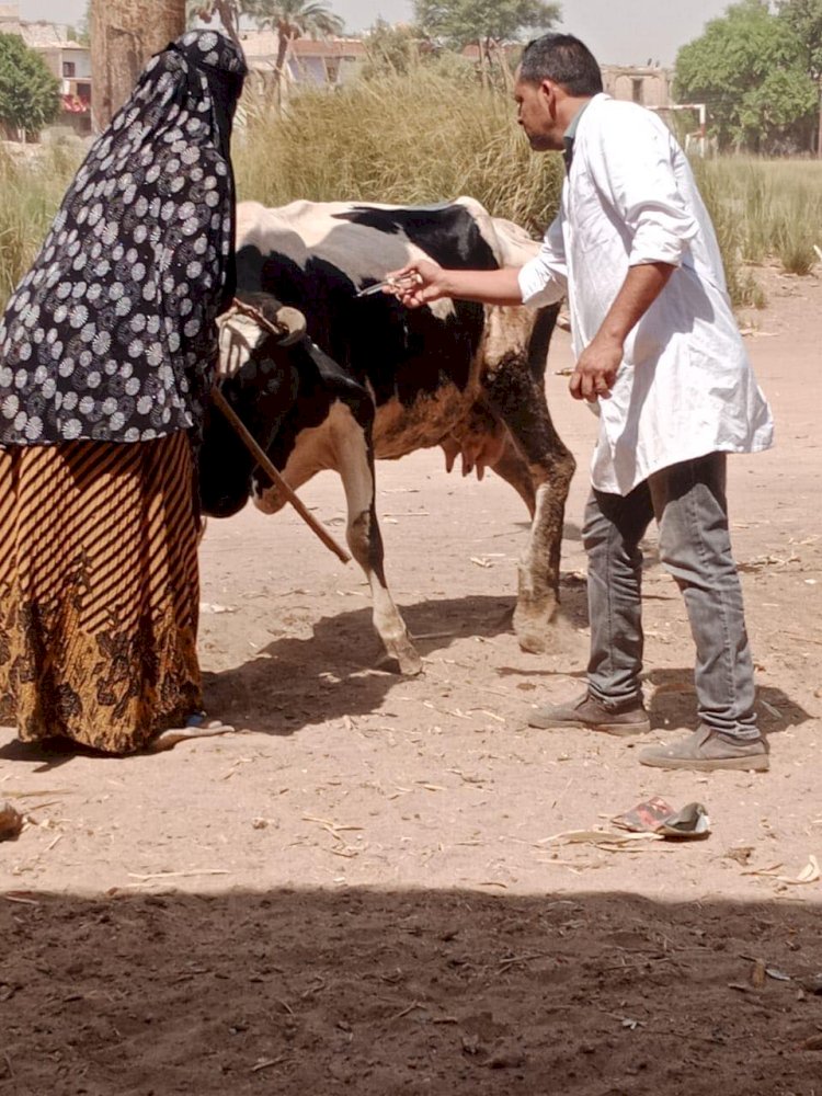 بيطري المنيا: تقديم 1386 خدمة خلال 3 قوافل بيطرية مجانية وقائية إرشادية
